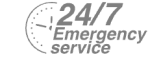 24/7 Emergency Service Pest Control in Erith Marshes, DA18. Call Now! 020 8166 9746