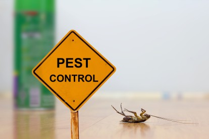 Pest Contol in Erith Marshes, DA18. Call Now 020 8166 9746